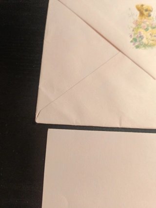 Carta profumata per cani e gatti