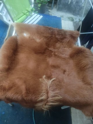 Alfombra de potro