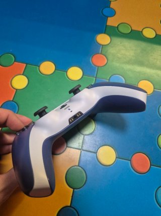 Mando PS5 Personalizado