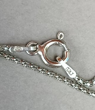 Colgante de Plata con Diseño de León