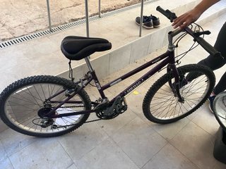 Bicicleta Montaña