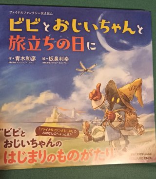 Final Fantasy IX Vivi libro