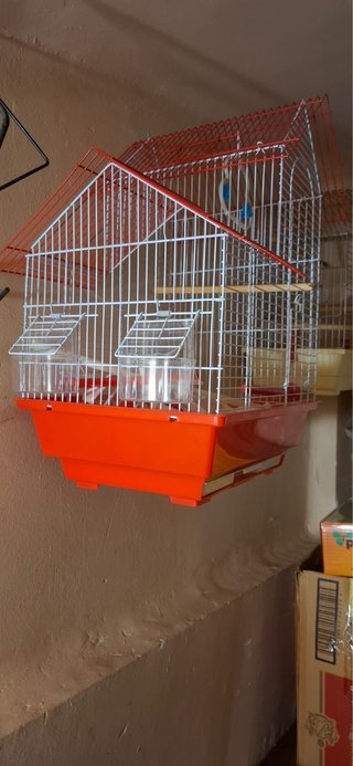 Jaula para pájaros roja y transparente