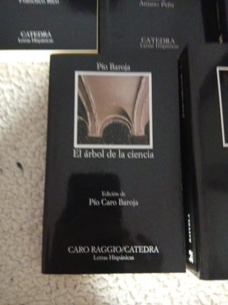 Novela clasica