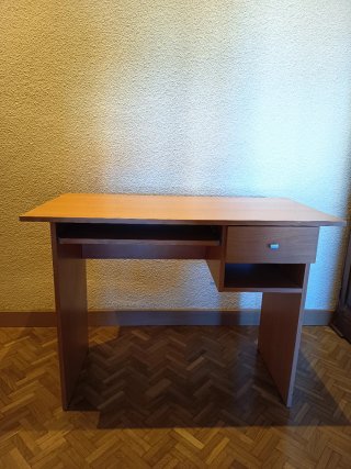 Mesa de escritorio de madera 100x50cm