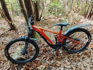 Bicicleta Eléctrica Giant reing 625kw 1200km