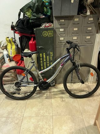 Bicicleta de montaña gris y morada
