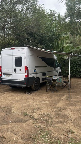 FIAT Ducato 2019