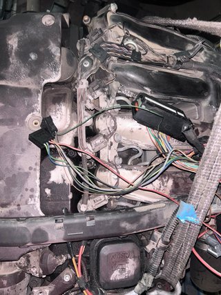 Motor BMW 320d M57 204D2 150cv