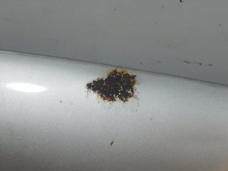 CAPO OPEL CORSA C