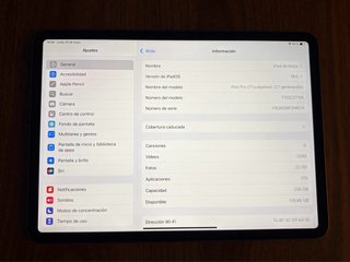 iPad Pro 11 pulgadas (256 GB)