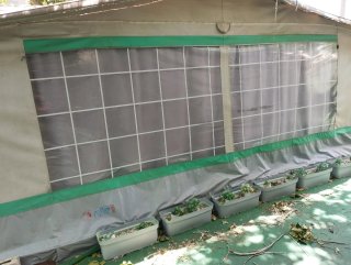 Caravana instalada Camping Rana Verde