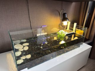 Acuario Tortugas 80L (80x30x30)