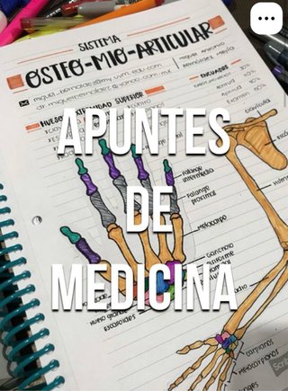 Apuntes completos primero de medicina