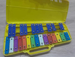 Xilófono Amarillo con Estuche