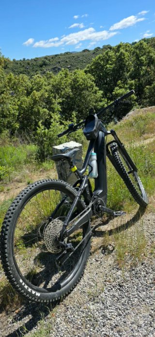 E-BIKE Giant Liv Embolden E+1 PRO  2025