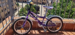 Bicicleta Infantil WST 18 Morada