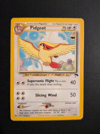 Carte Pokémon Pidgeot + Wartortle Southern Islands