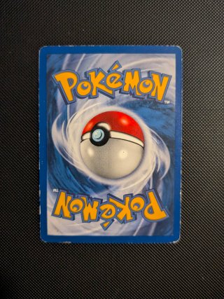 Carte Pokémon Pidgeot + Wartortle Southern Islands