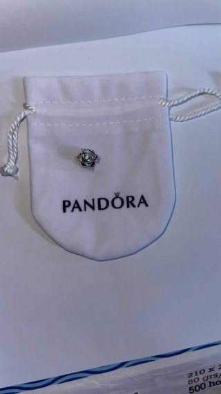 Charm estilo Pandora Stitch Graduado sello s925