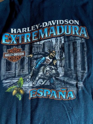 Camiseta Polo Harley Davidson