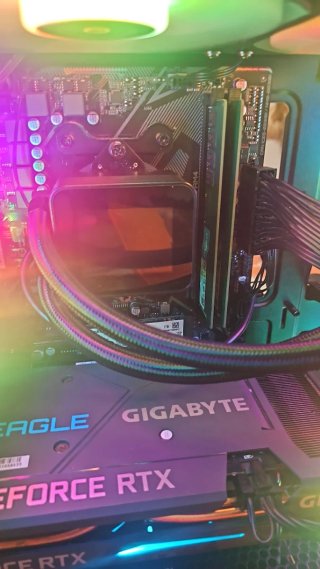 PC Gaming