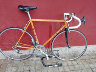 Bicicleta Zeus Naranja