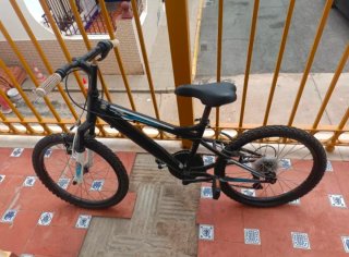 Bicicleta infantil negra