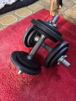 Mancuernas DOMYOS 2x10kg + Estuche