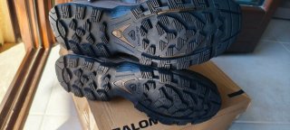 Anfibi Salomon Quest 4D GTX Forces 2 EN