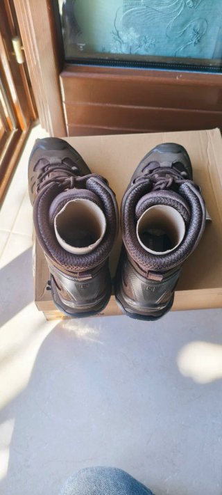Anfibi Salomon Quest 4D GTX Forces 2 EN