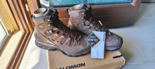 Anfibi Salomon Quest 4D GTX Forces 2 EN