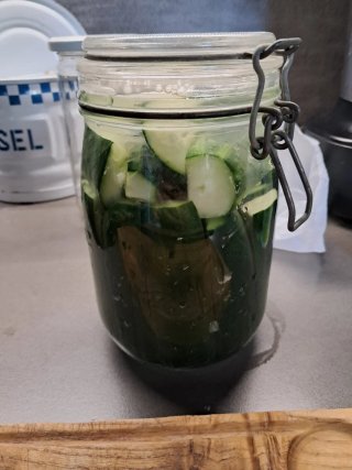 Fermentación de alimentos