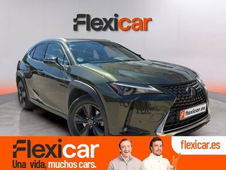 Lexus UX 2.0 250h Business