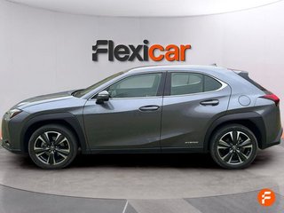 Lexus UX 2.0 250h Business
