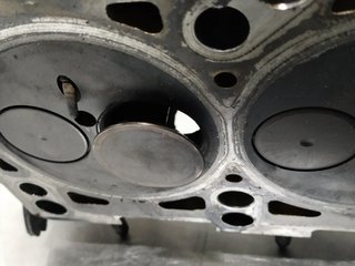 CULATA SEAT IBIZA BERLINA (6J5) BLS 038103373R