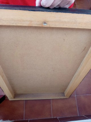 Set di 2 Quadri Astratti Fiori Rossi