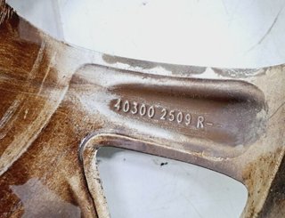 Renault 403002509r llanta kadjar bose 5277942