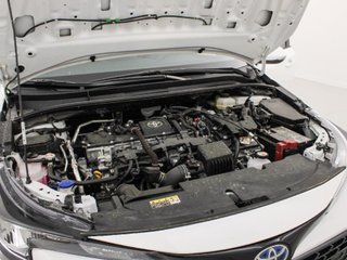 TOYOTA COROLLA CR Corolla - MY24