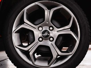 Ford Ecosport EcoSport 1.5 EcoBlue ST-Line (EURO6d-TEMP)