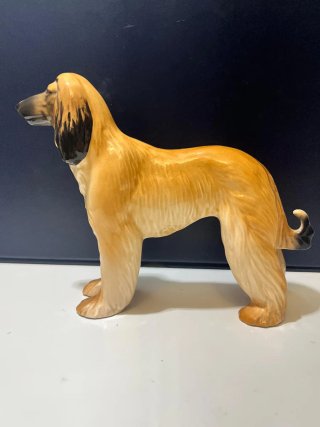 PERRO ANTIGUO