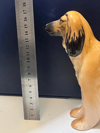 PERRO ANTIGUO