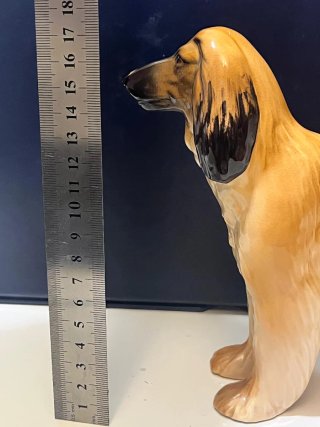 PERRO ANTIGUO