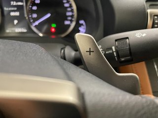 LEXUS RC RC 2.5 300h Executive Navigation