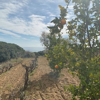 Terreno en venta en Arenys de Munt