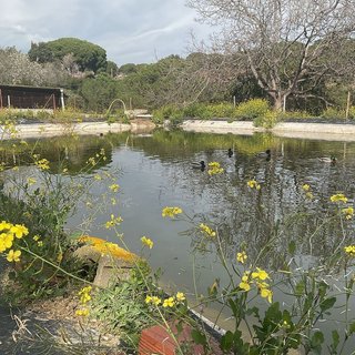 Terreno en venta en Arenys de Munt