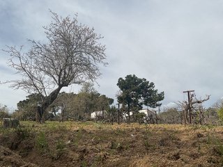 Terreno en venta en Arenys de Munt