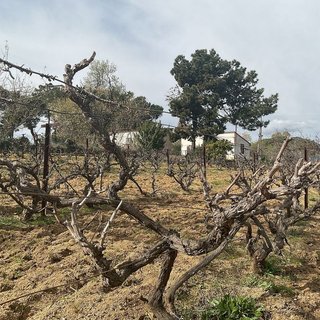 Terreno en venta en Arenys de Munt