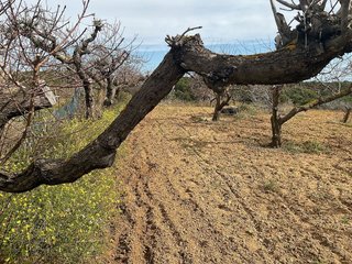 Terreno en venta en Arenys de Munt