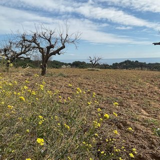 Terreno en venta en Arenys de Munt